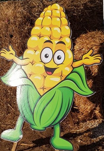 אטרקציה למשפחות במבוך התירס המתוק